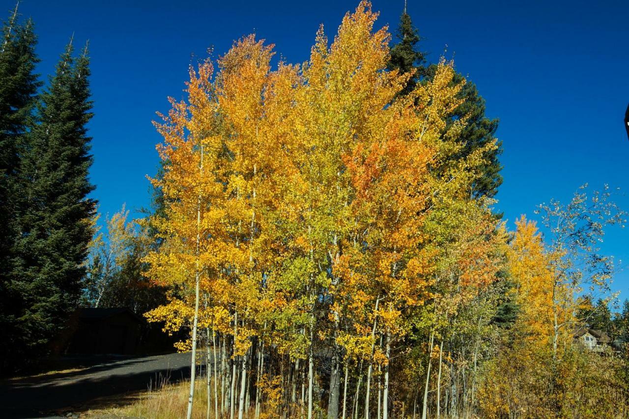 Aspen Village Golf Course Condo - Snowshoes Маккол Екстериор снимка