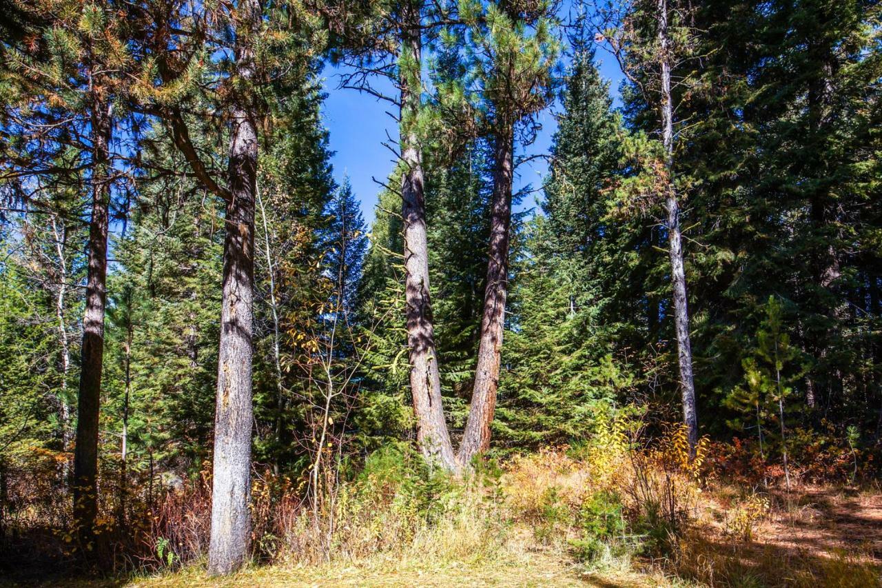 Aspen Village Golf Course Condo - Snowshoes Маккол Екстериор снимка